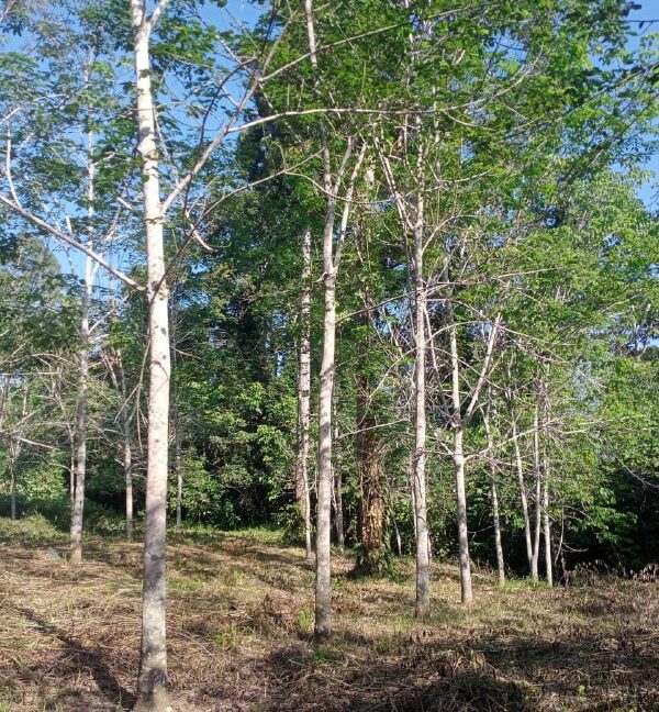 910e8069-64e5-4ca9-ba66-09fabb289a24