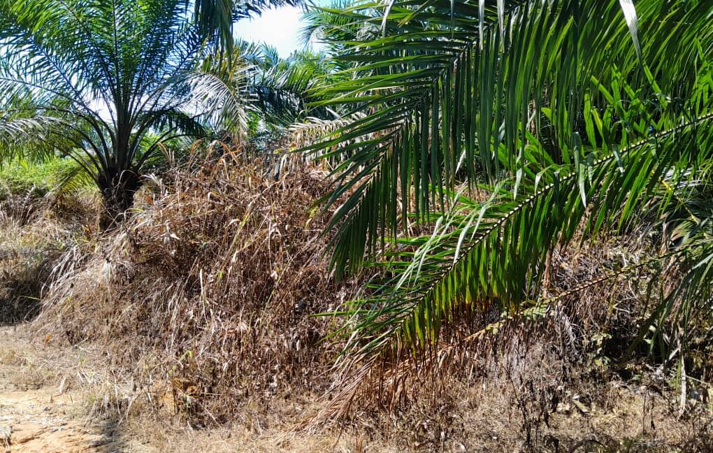 9529ae1e-9cb1-46de-8a07-a1db321b3ff8