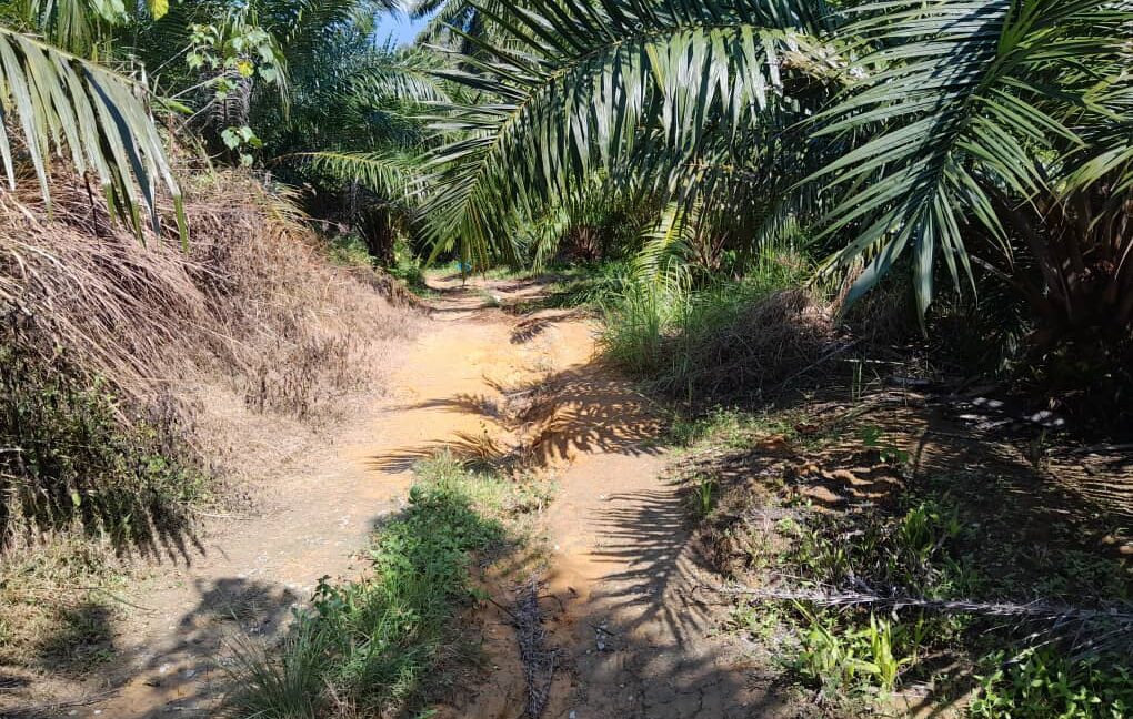 971890de-1590-4302-ba49-804e160f57a4