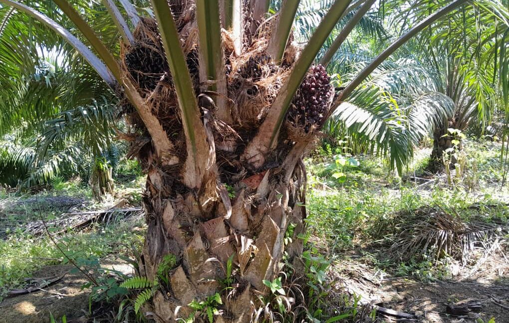 99b616d5-5662-4c59-b9b8-13653cf7dc9f