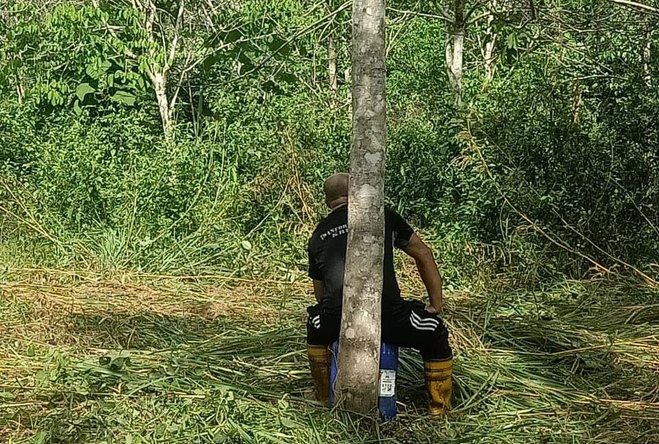 a92ba96a-3cf9-4bd9-9805-12de87d2fd11