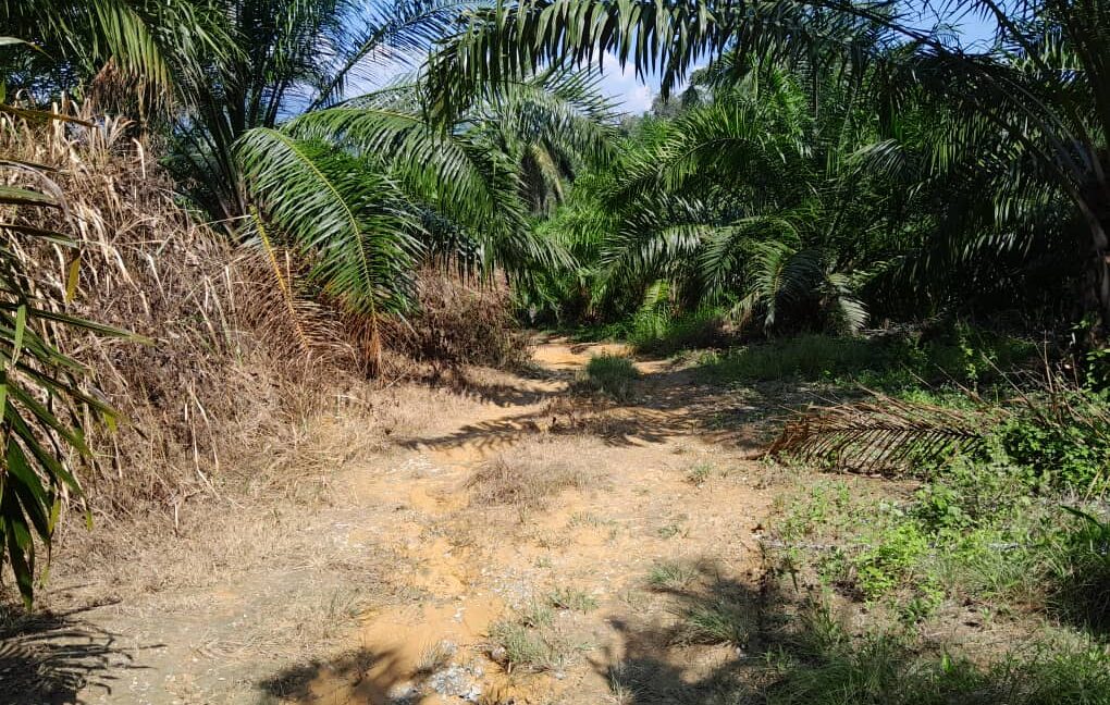 cbecc9d6-ef05-4212-8374-83a6299fc742