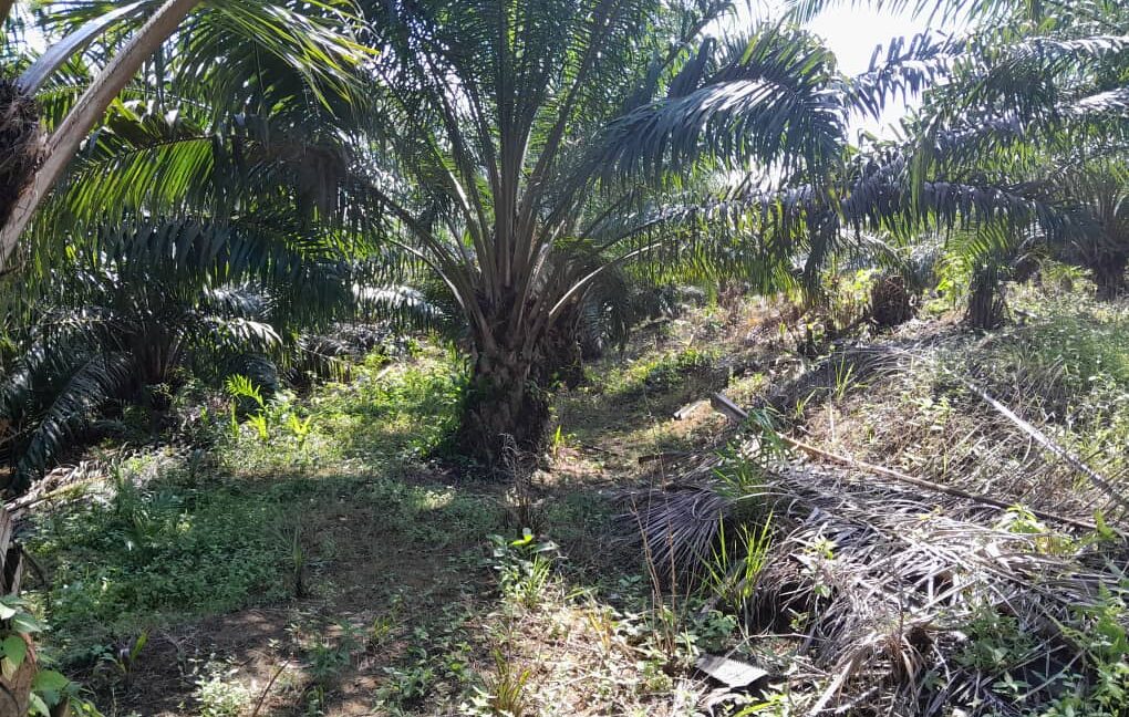 d647abe5-49e3-4ced-8c40-ea21fdd805c4