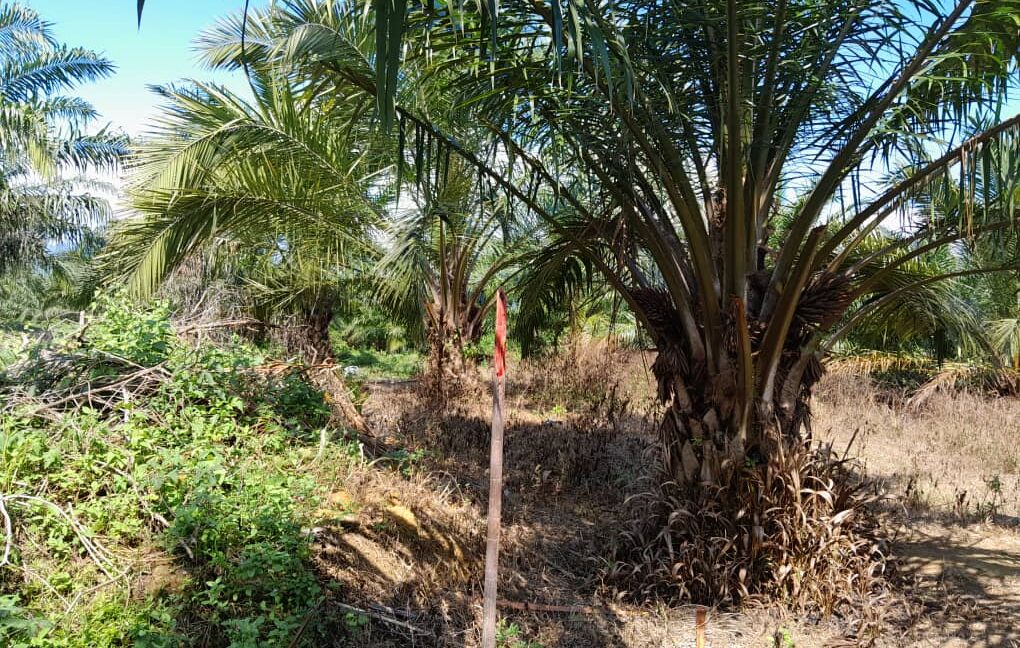 e488bbeb-2b91-4a3e-82e9-5dda09f64ed8