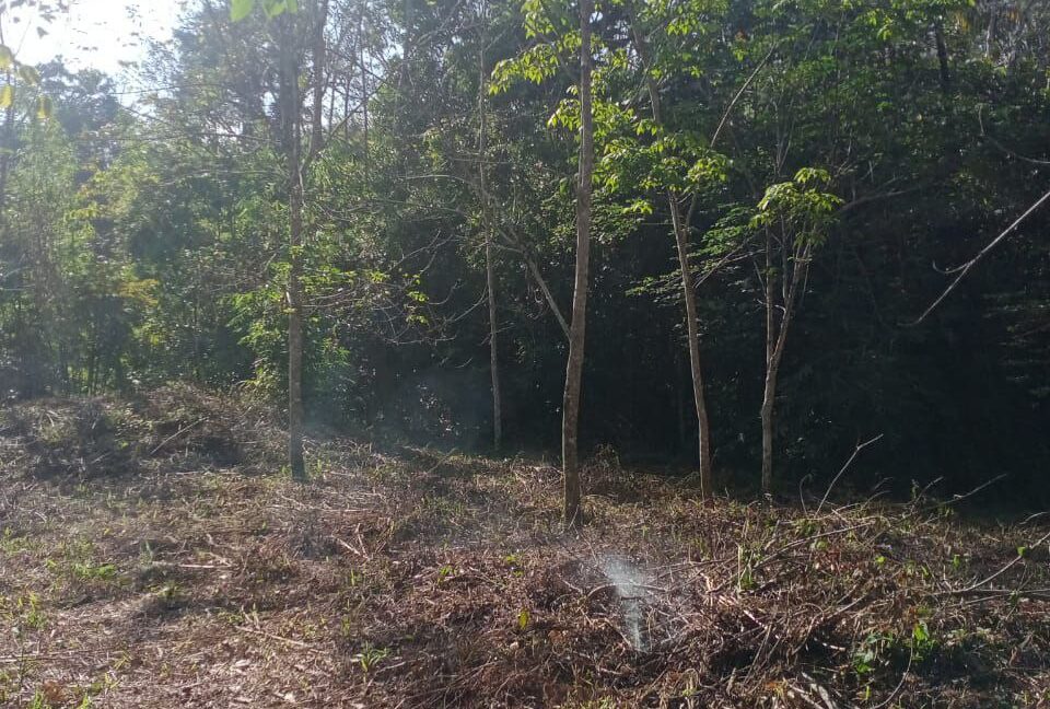 e52ad667-0ec2-4865-9706-fcca8d9f285d