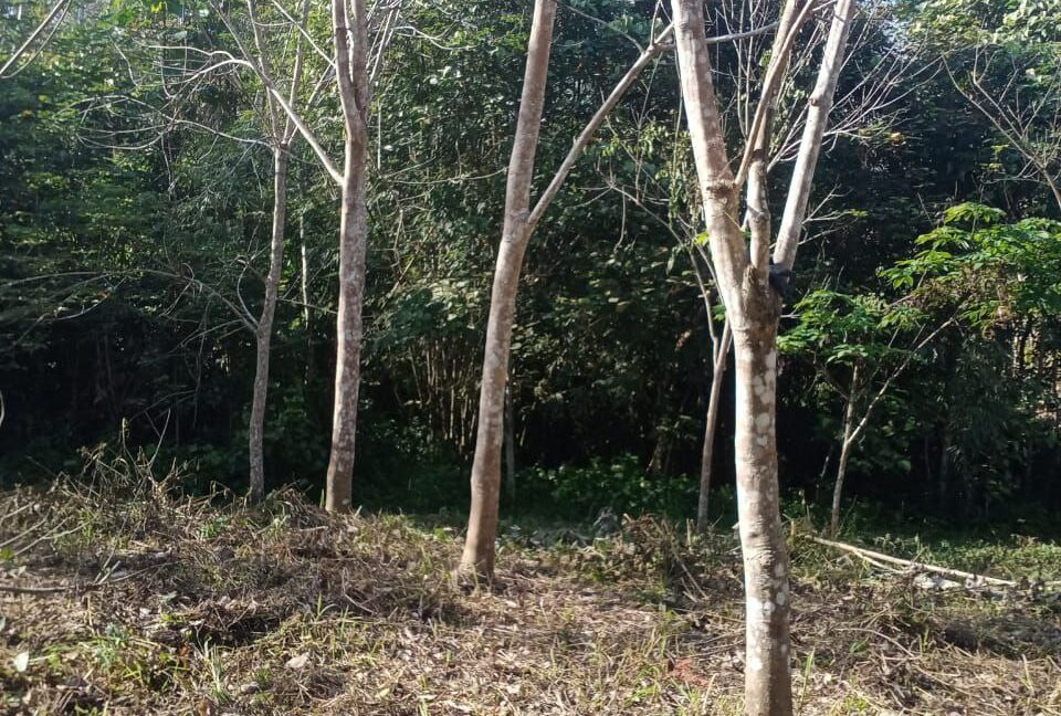 f76418e5-e2ba-40f5-ad6e-558789a9eac7