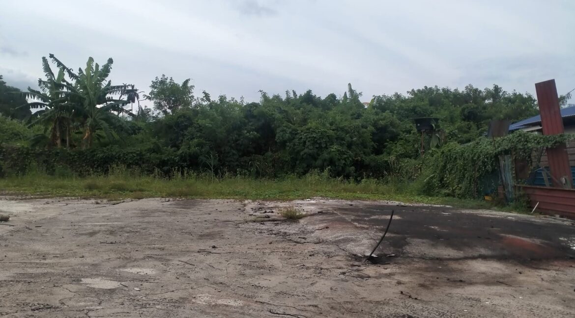 449107667_487041147220103_6444855415631997442_n