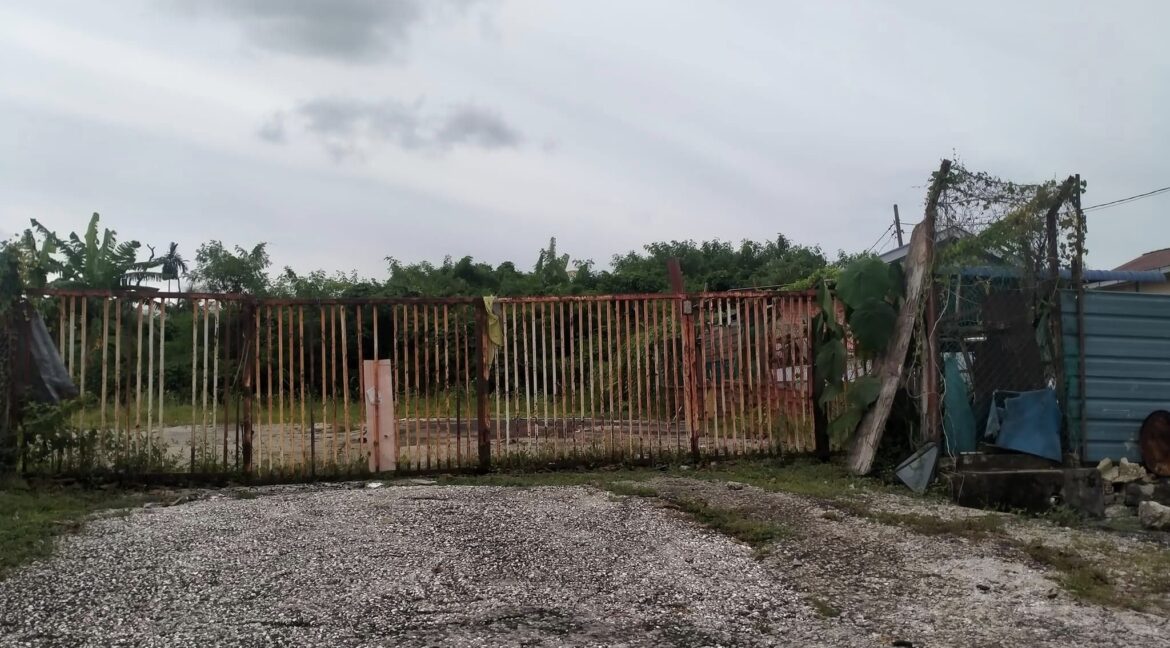 449129805_487040730553478_4642400864789478195_n