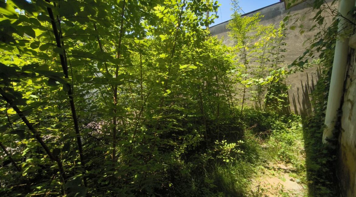 456705750_122165602934233293_5302285082271553257_n