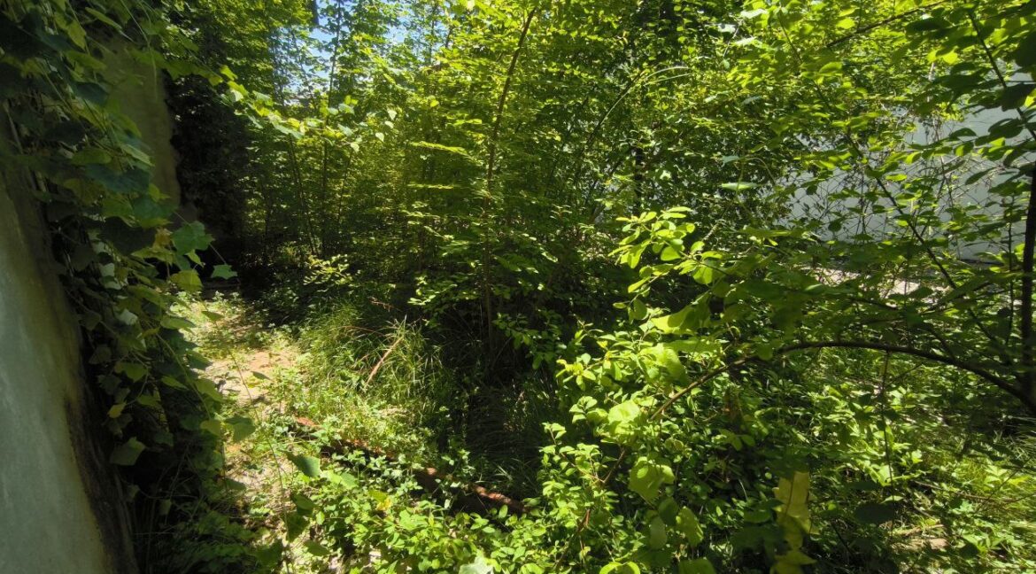 456708203_122165603030233293_1976187768942826355_n