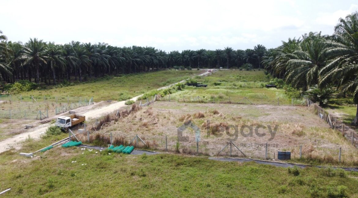 f5d43d94-5e48-4cf3-bc0a-2e4e28ca6748