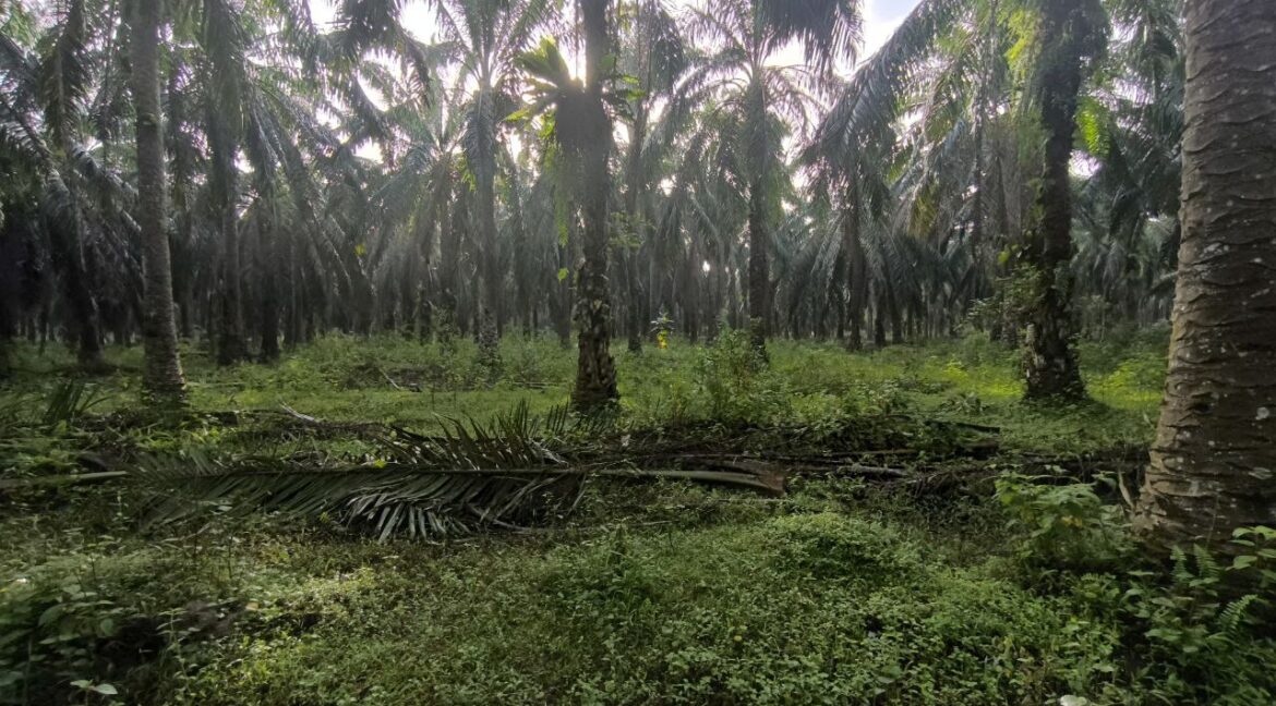 2414e83e-bd71-441e-a4eb-6a408e29e625