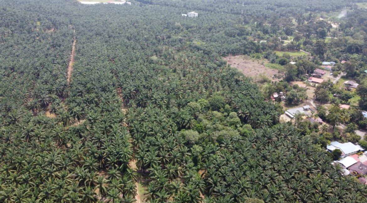 29374391-a3d9-4ce7-bc4b-ed6ea727997d