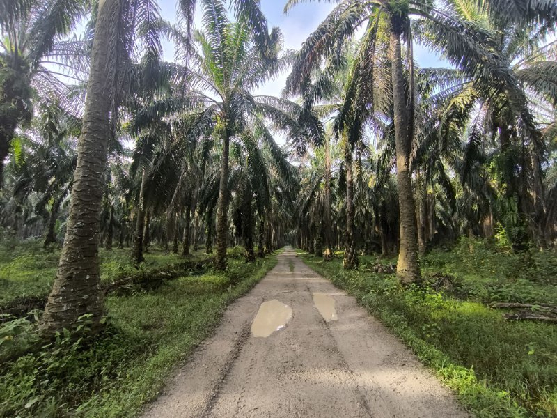 3db15ebc-5668-4daf-bfa4-64b347e3a5ec