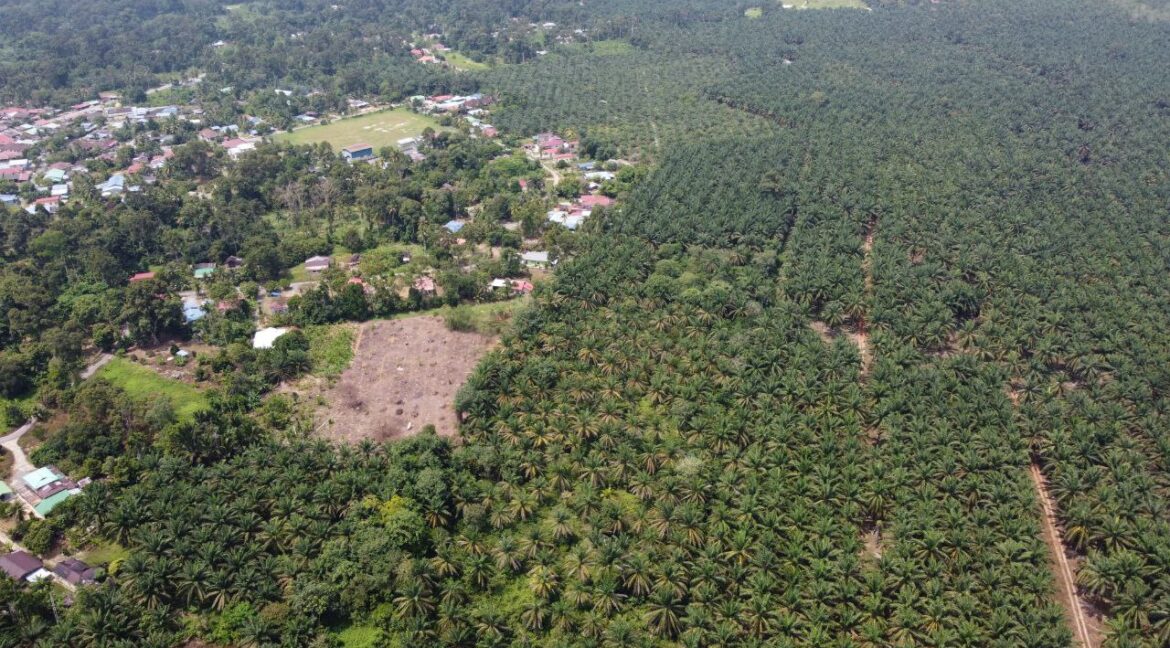 525c37d8-cb54-47c4-aae3-2c44a3359eb3