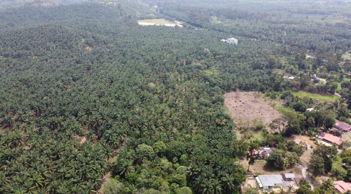 5445cfba-da44-4cb9-b4ac-f09655a8fc8e