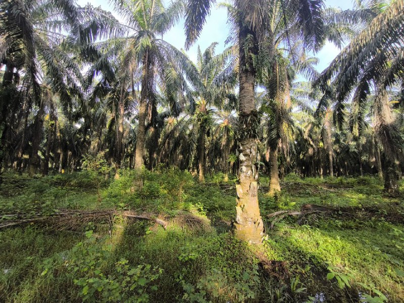 5f74ae4a-1879-484b-903e-19f792005861