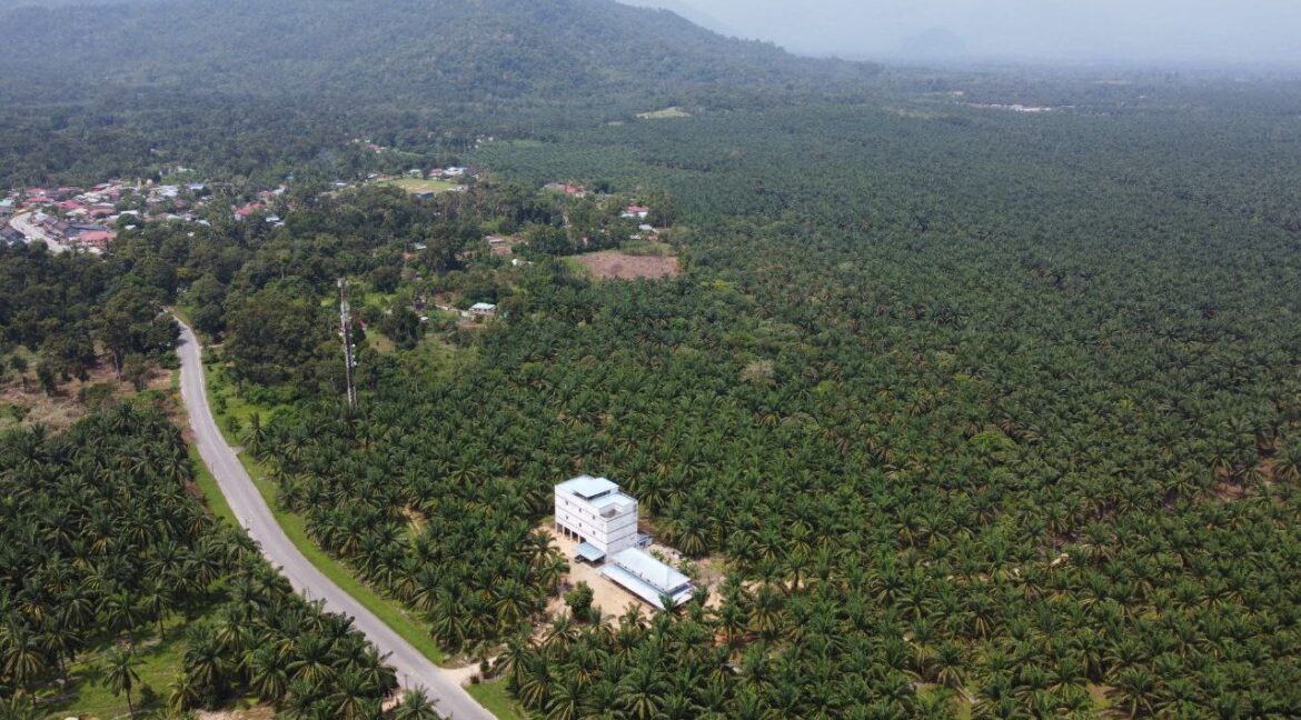 7464f88c-c510-425a-90f5-59b33e6f6c59