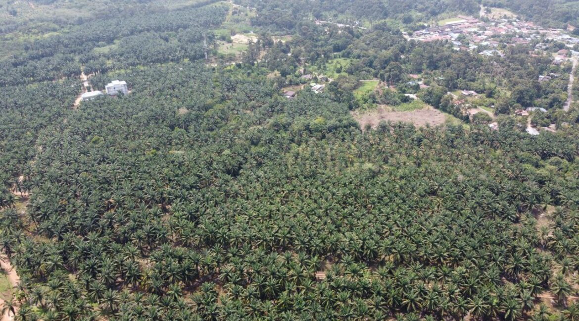 80e0e25a-499d-4a1c-b71f-e476c37b560e