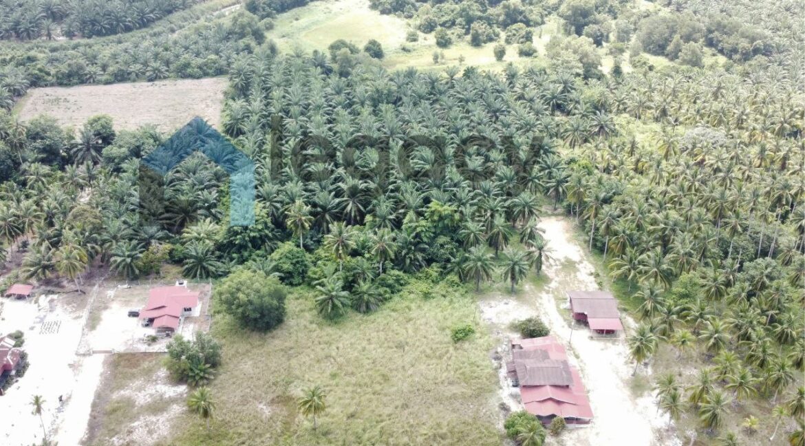 aa5b2e79-2c93-4822-87ae-72ff4b9ed276