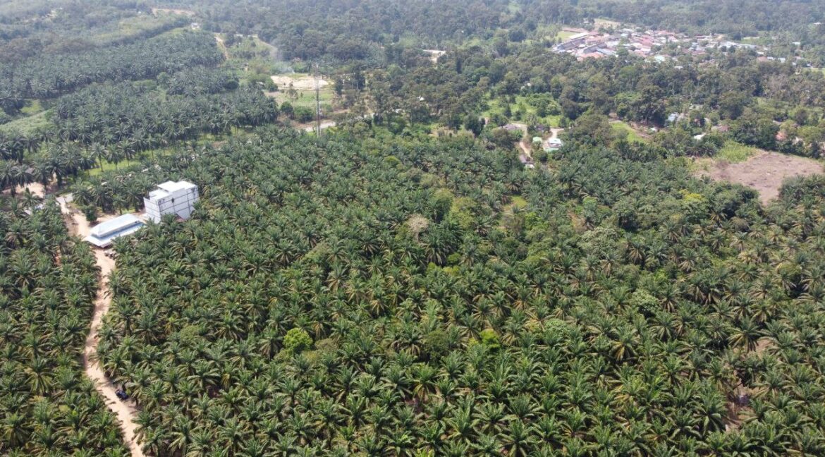 e138cdd7-ae9b-435c-899c-5a8783df4c6e