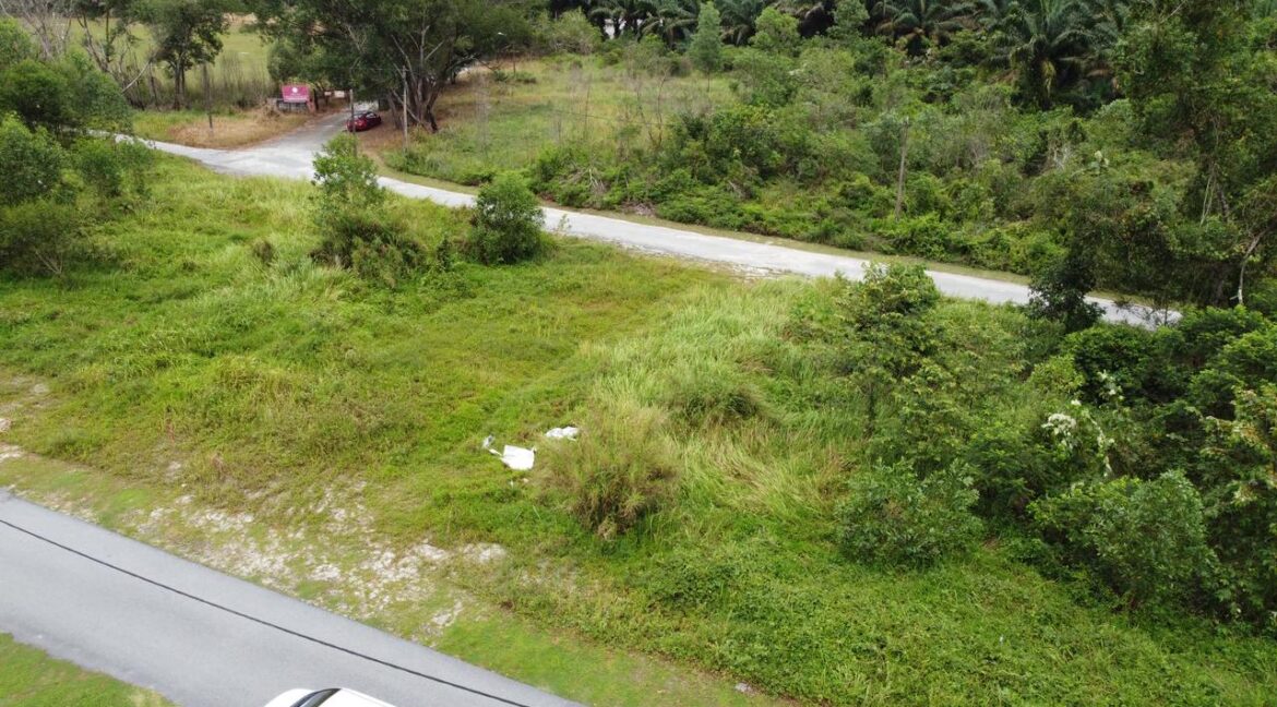 photo_4_2025-03-11_14-29-44