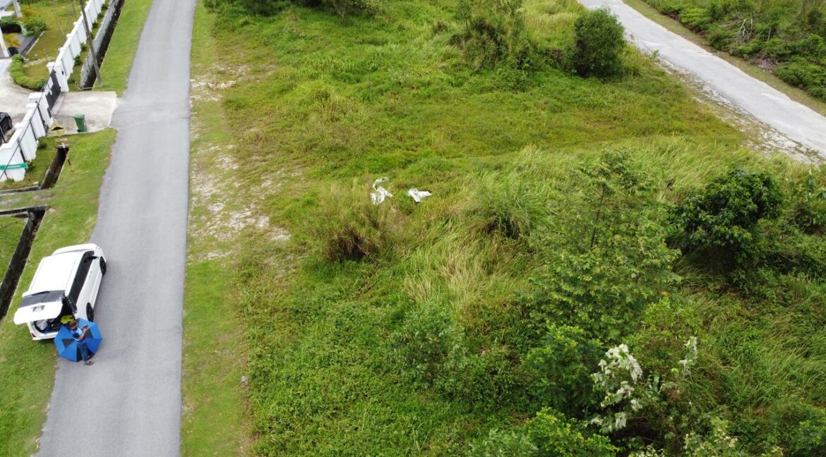 photo_5_2025-03-11_14-29-44