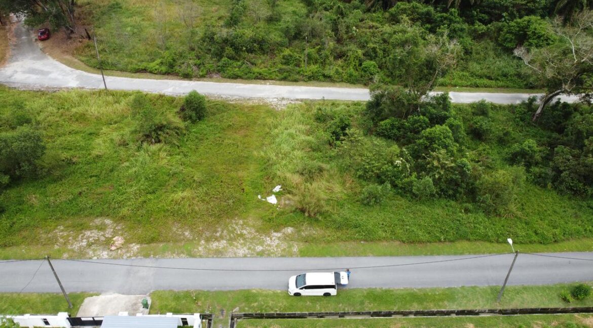 photo_8_2025-03-11_14-29-44